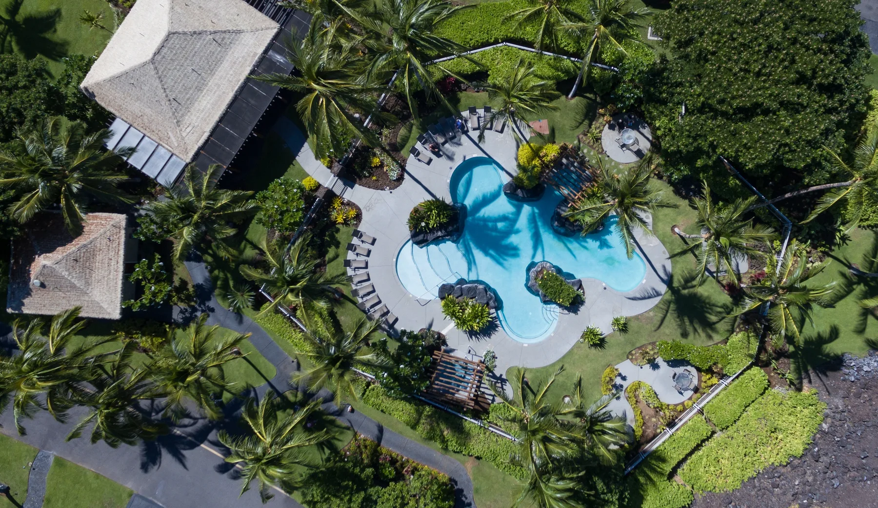 Vista aérea de una piscina rodeada de palmeras y vegetación.