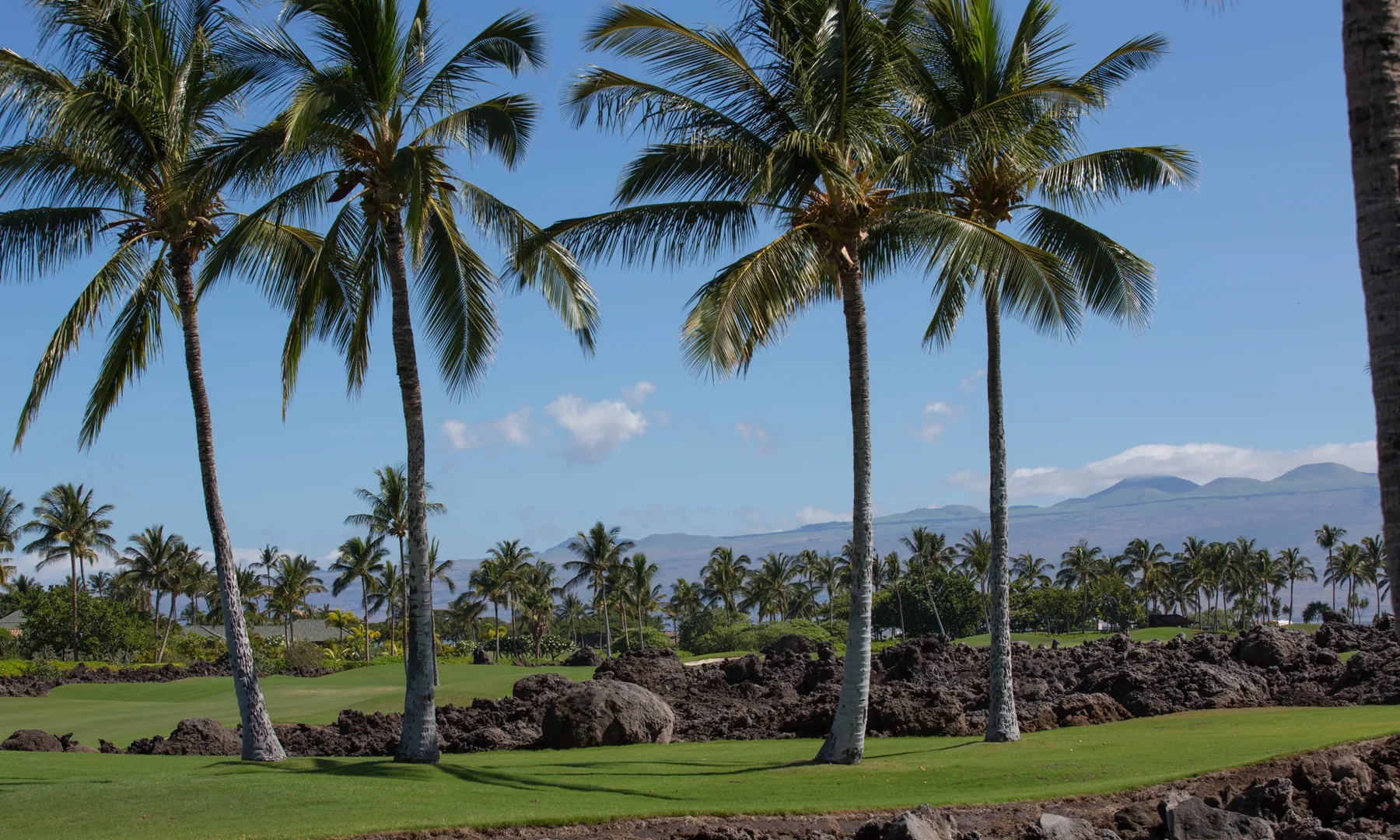Un paisaje tropical con palmeras, césped verde y montañas a lo lejos.