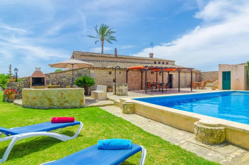 A sunny outdoor pool area with blue loungers, a stone patio, and a low building.