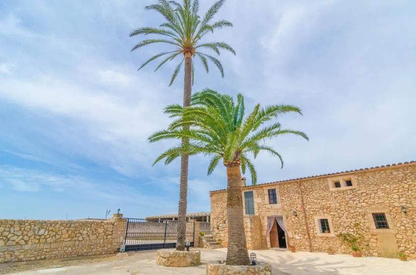 Un edificio de piedra y un patio pavimentado se encuentran bajo dos palmeras altas.