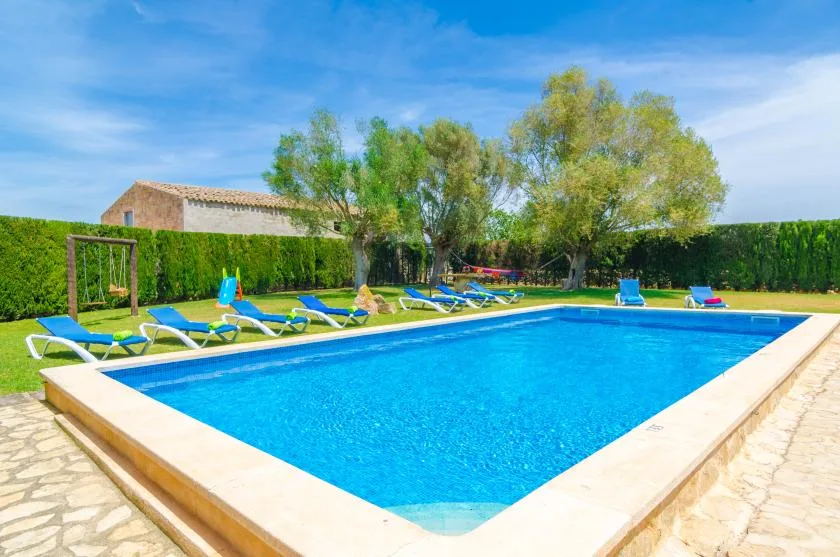 An outdoor swimming pool bordered by sun loungers, lawn, and trees.