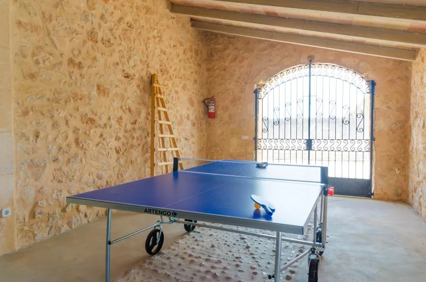 Una sala de recreación con paredes de piedra y una mesa de ping-pong azul.
