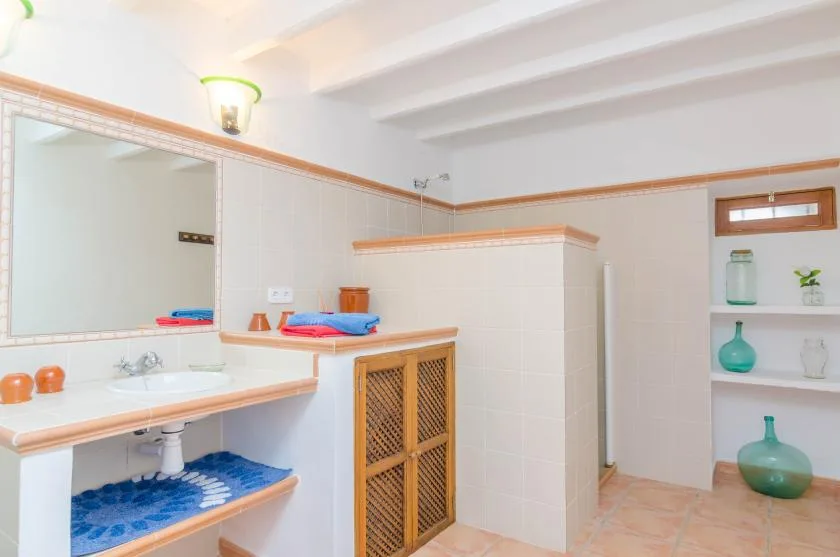 Un baño alicatado con una encimera larga con lavabo, espejo y zona de ducha.