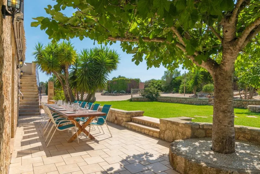 Un patio exterior soleado con asientos de comedor junto a un césped verde y árboles.