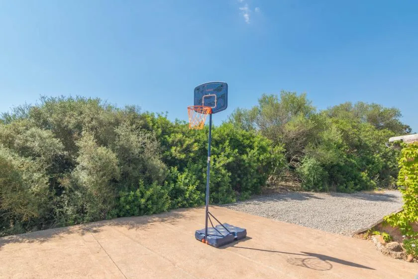 Una canasta de baloncesto está en una cancha pavimentada junto a vegetación densa.