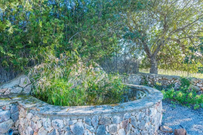 Un estanque circular de piedra está rodeado de plantas y árboles en un jardín.