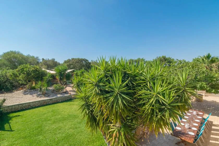 Un jardín con césped verde, plantas frondosas y una mesa de comedor al aire libre.