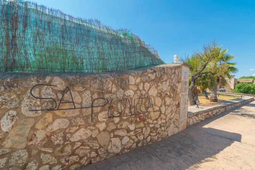 Un muro de piedra bordea un camino pavimentado junto a un árbol.
