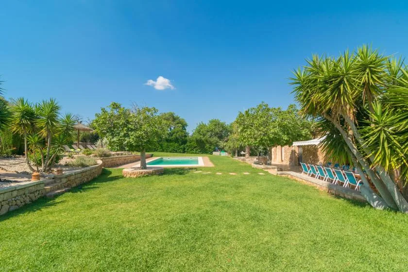 Un jardín soleado con piscina, césped y árboles.