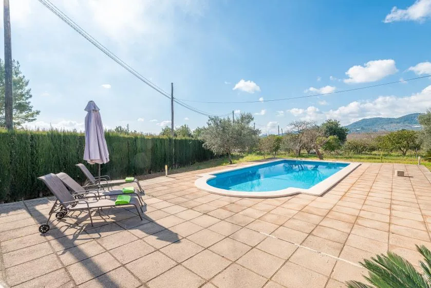 An outdoor swimming pool sits beside a paved patio with lounge seating.