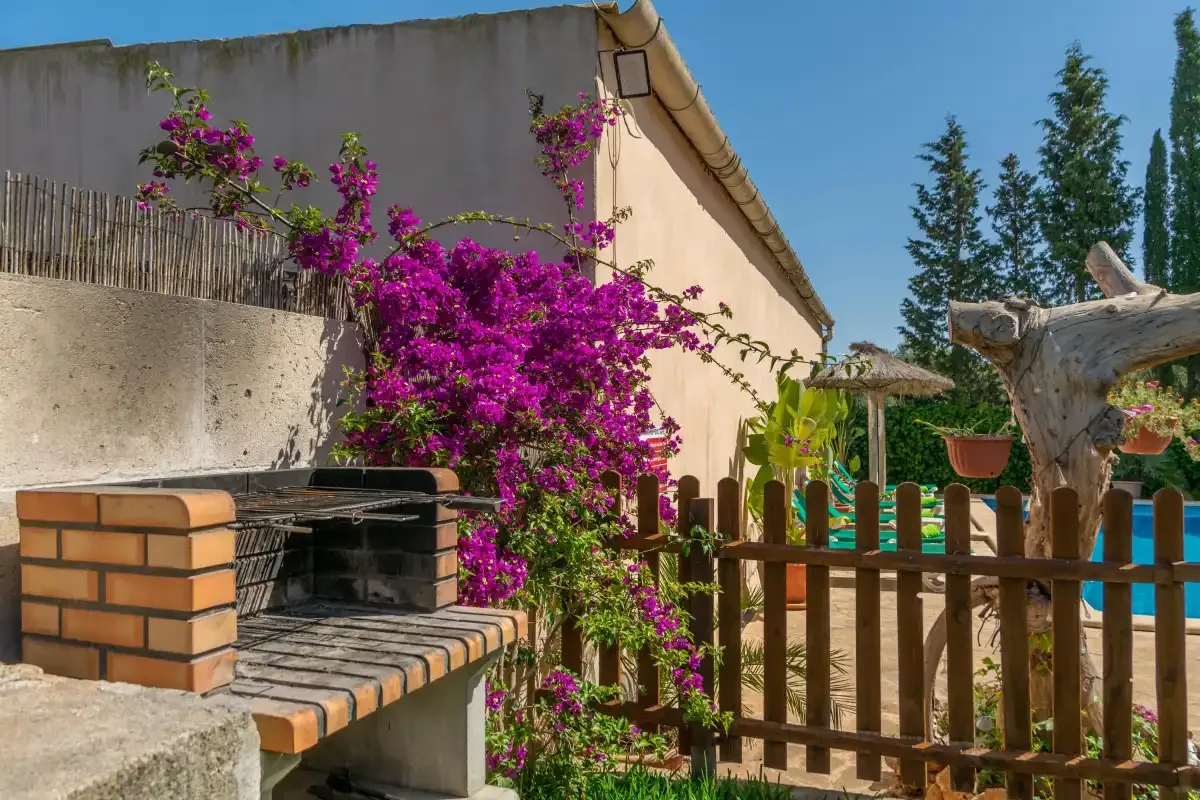 Un patio ajardinado con una barbacoa de ladrillo, enredaderas floridas y una cerca de madera.