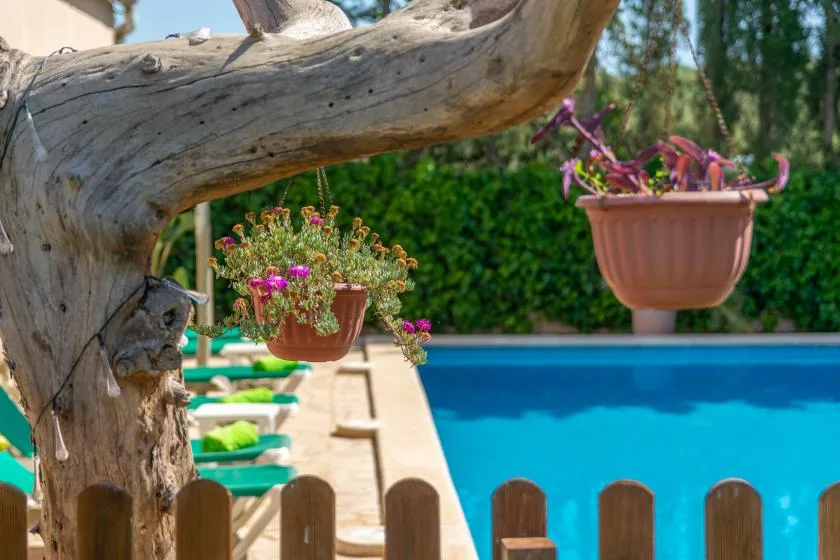 Una piscina al aire libre está bordeada por tumbonas verdes y cestas colgantes con flores.