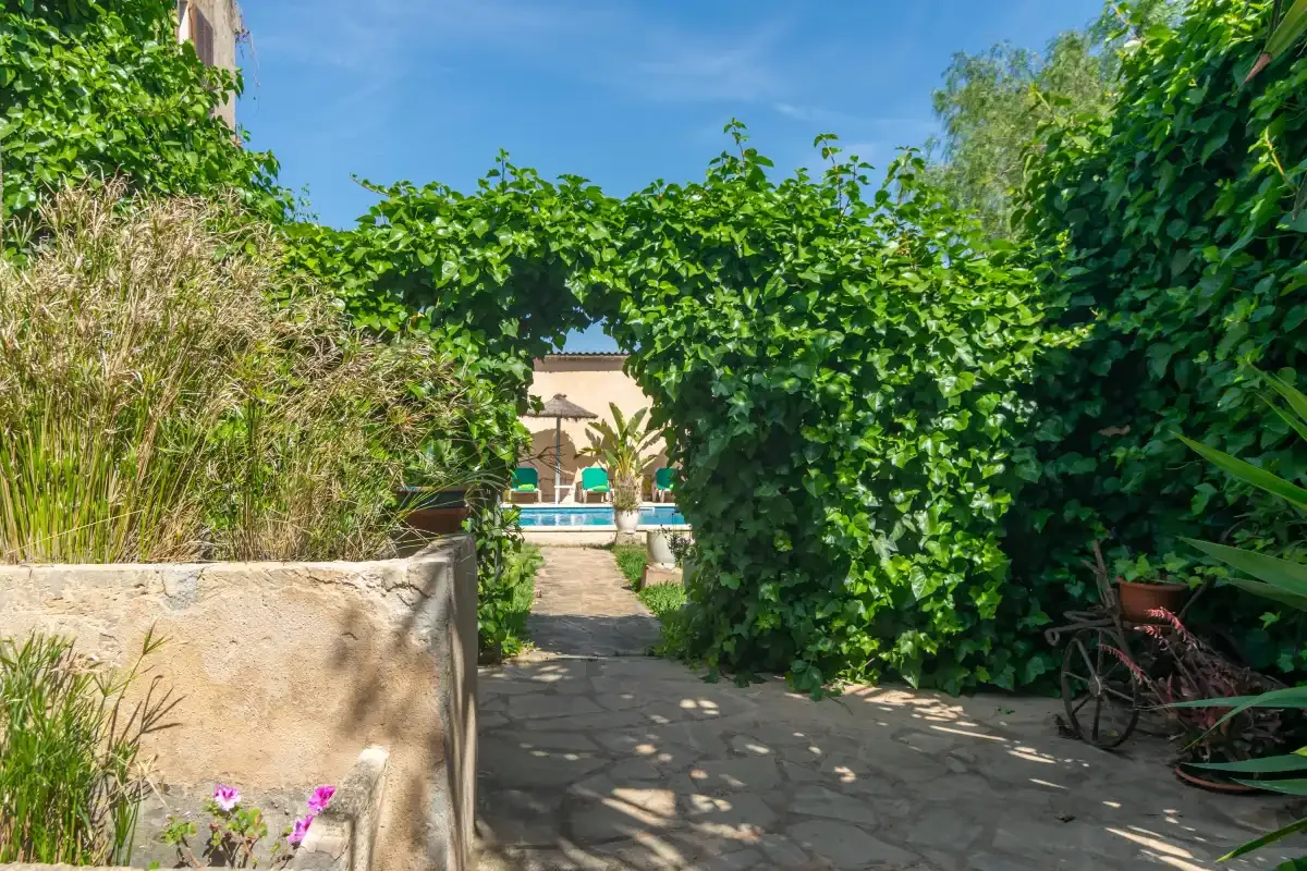 Un sendero de jardín pasa bajo enredaderas frondosas y conduce a una piscina.