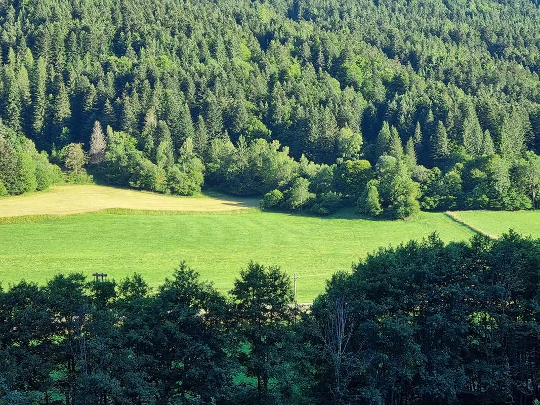Vista de la casa