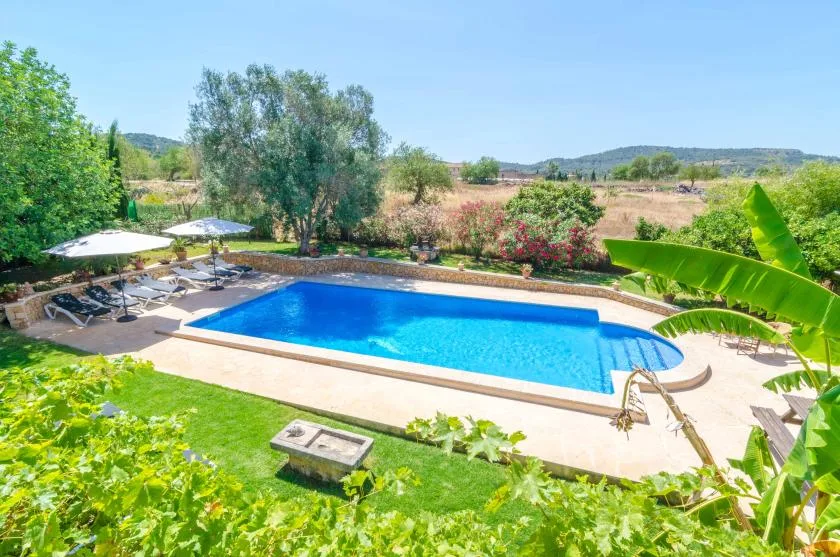 A swimming pool sits among garden greenery, with loungers and umbrellas nearby.