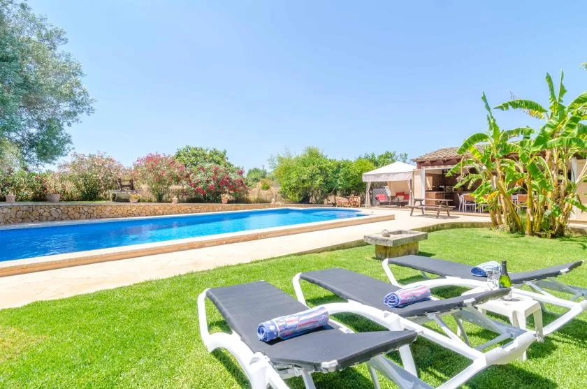 Outdoor pool beside a grassy lawn, with lounge seating and tropical plants.
