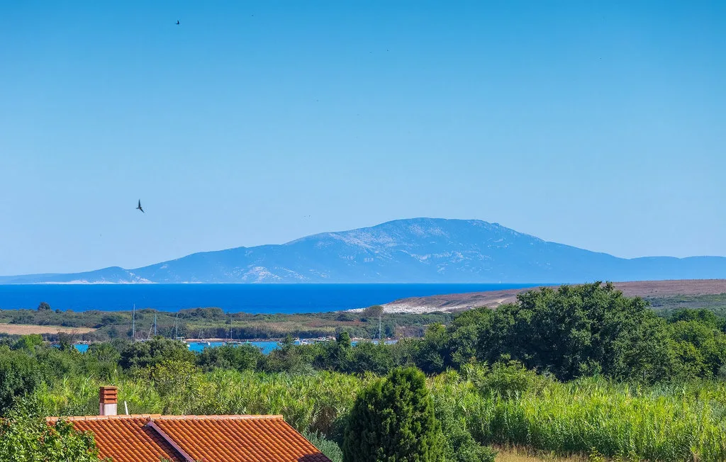 Paisaje costero con una isla distante al otro lado del mar azul y vegetación en primer plano.