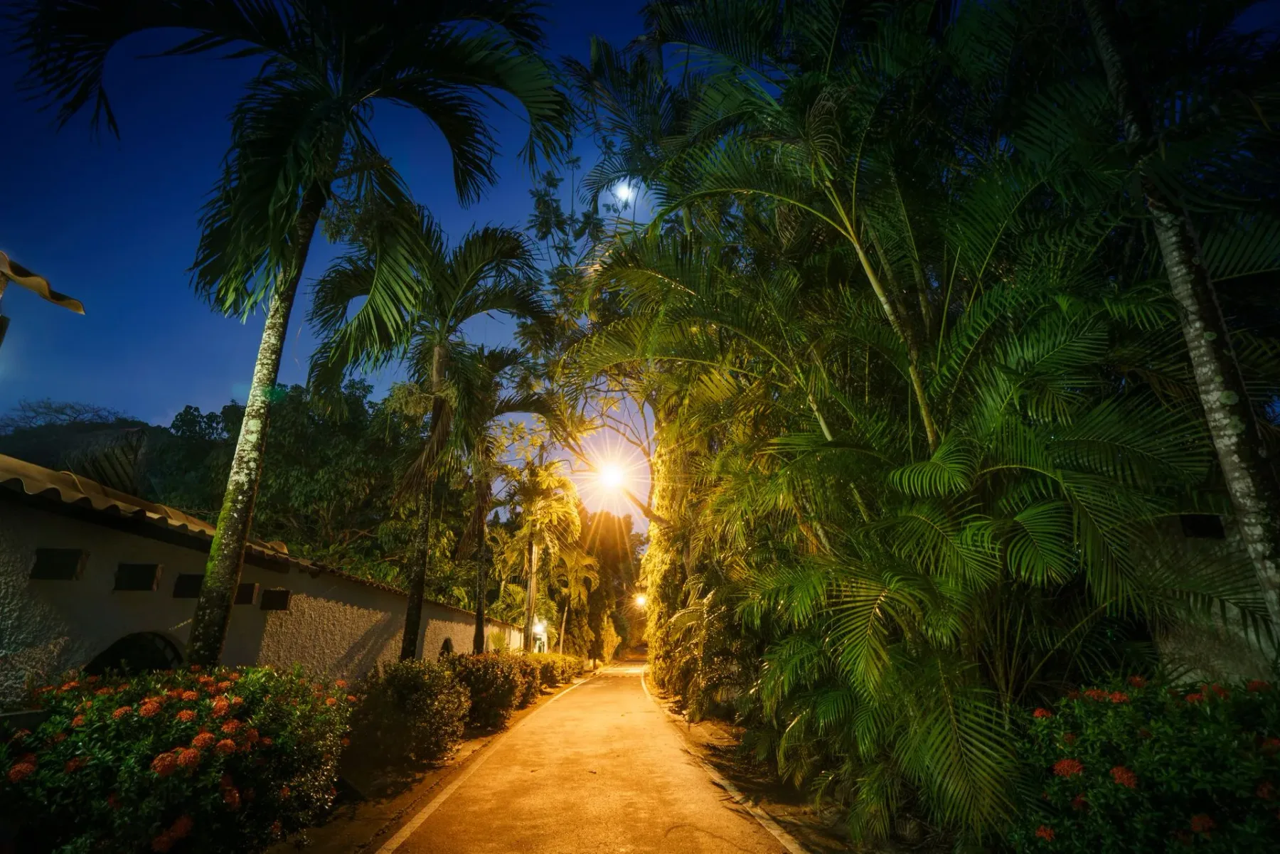 Street outside Casa Guardia