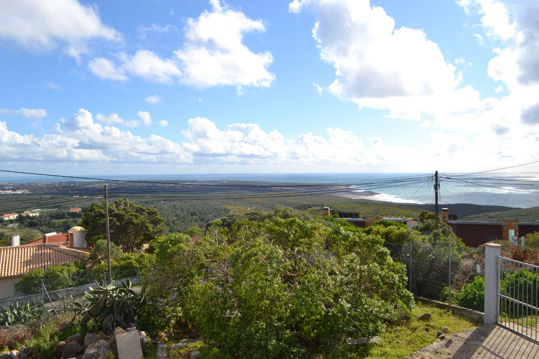 A coastal landscape with greenery, nearby houses, and the sea in the distance.