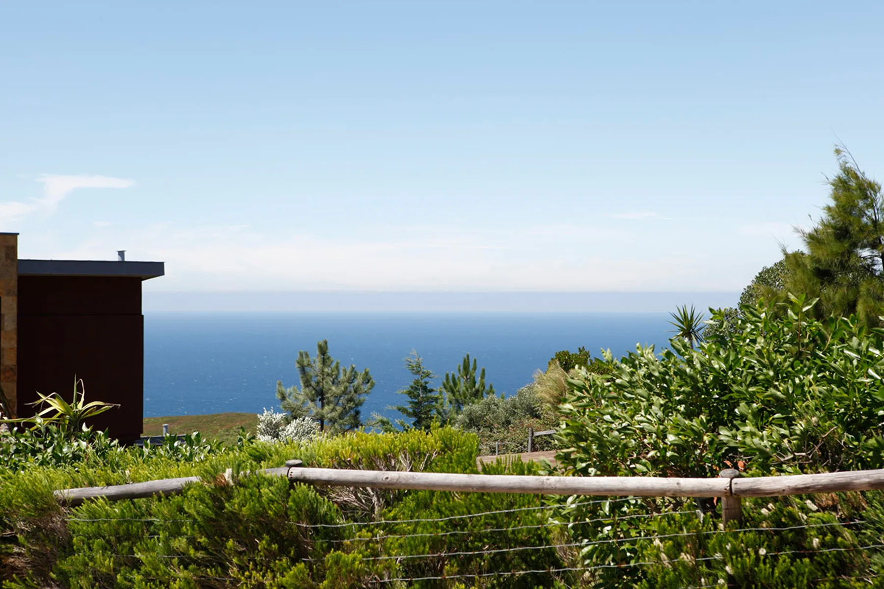 A coastal garden with shrubs and a view of the sea.