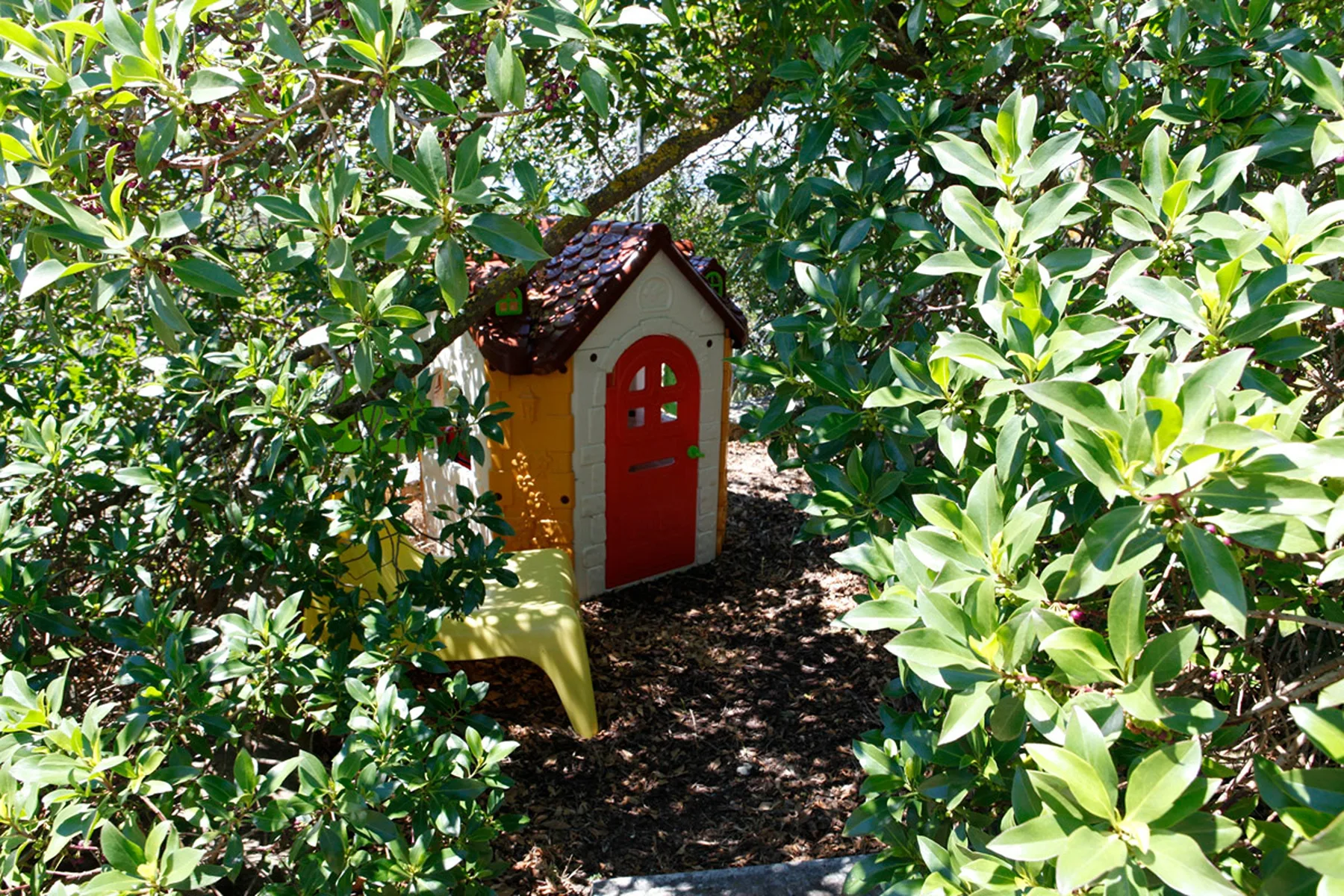 A small decorative playhouse sits among dense garden shrubs.