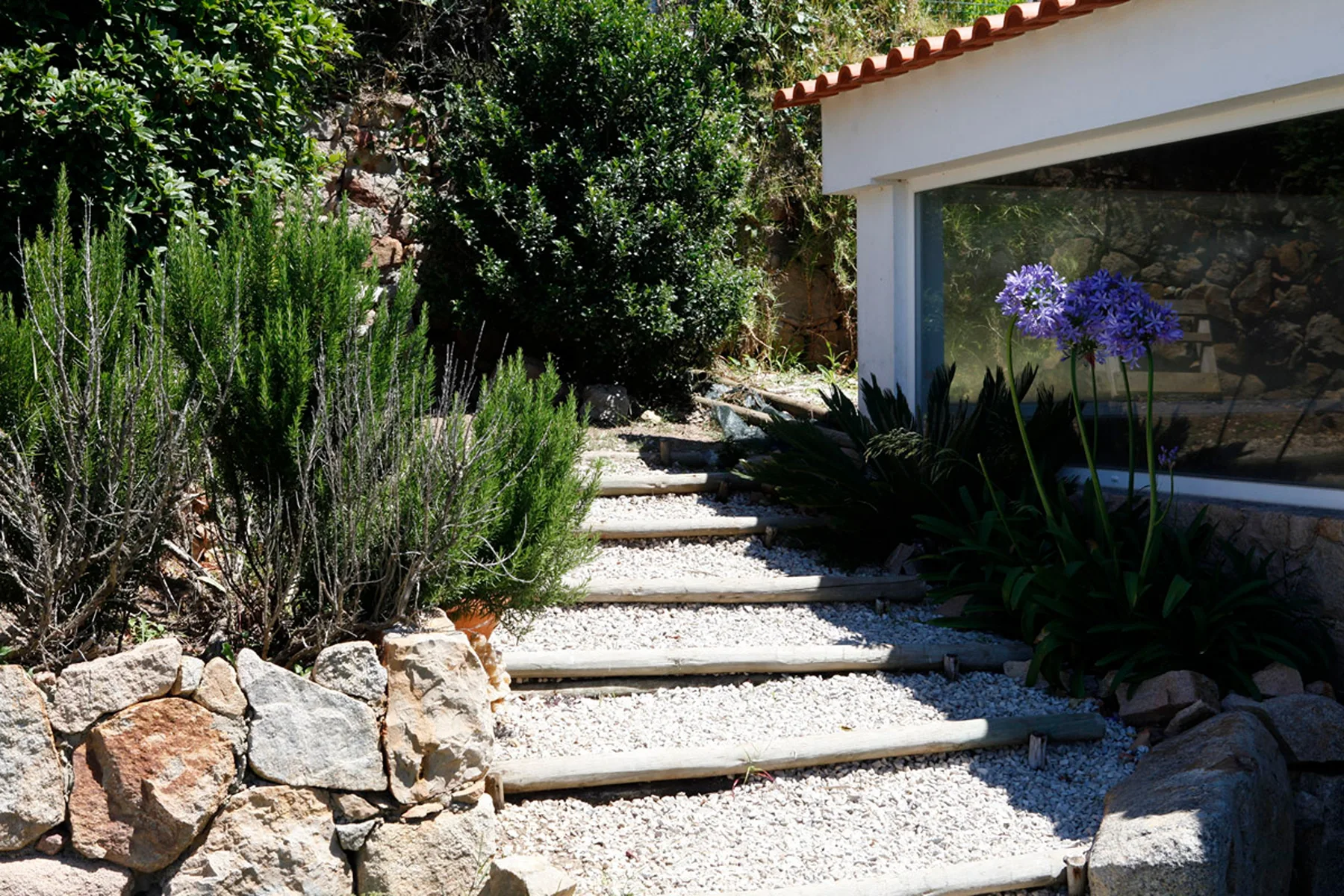 A gravel garden path with wooden edging leads past plants toward a house.