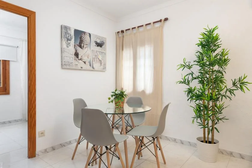 A bright dining area has a round table, chairs, and leafy plants.