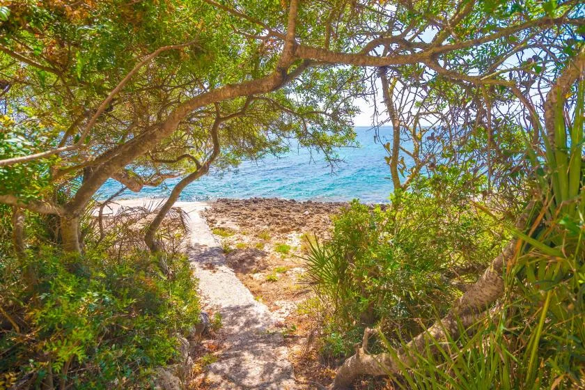 A sandy path winds through coastal greenery toward the blue sea.