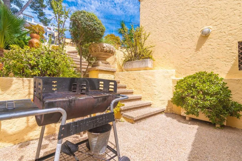 A sunny outdoor patio with a barbecue grill, stone steps, and potted greenery.