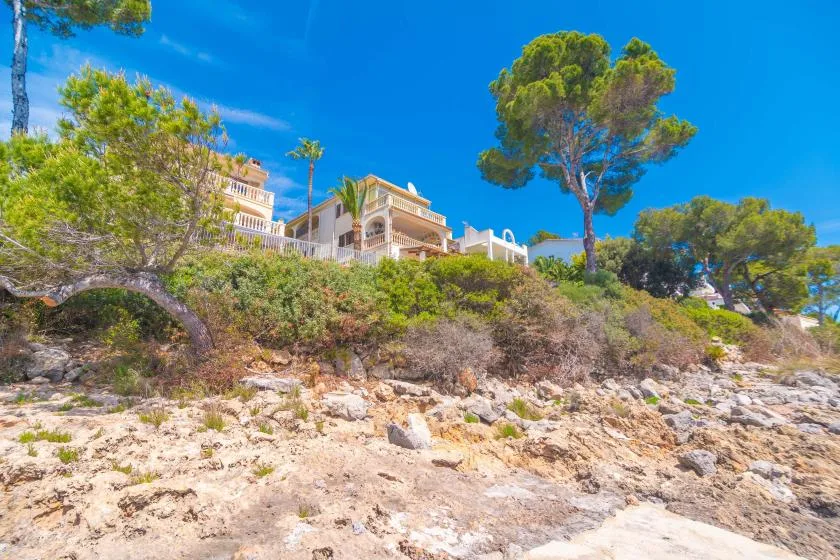 A light-colored building sits above a rocky, shrub-covered slope among pine trees.