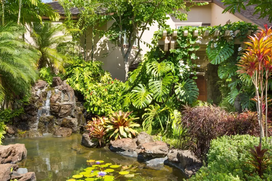Un estanque en un jardín tropical con nenúfares, rocas y abundante vegetación.