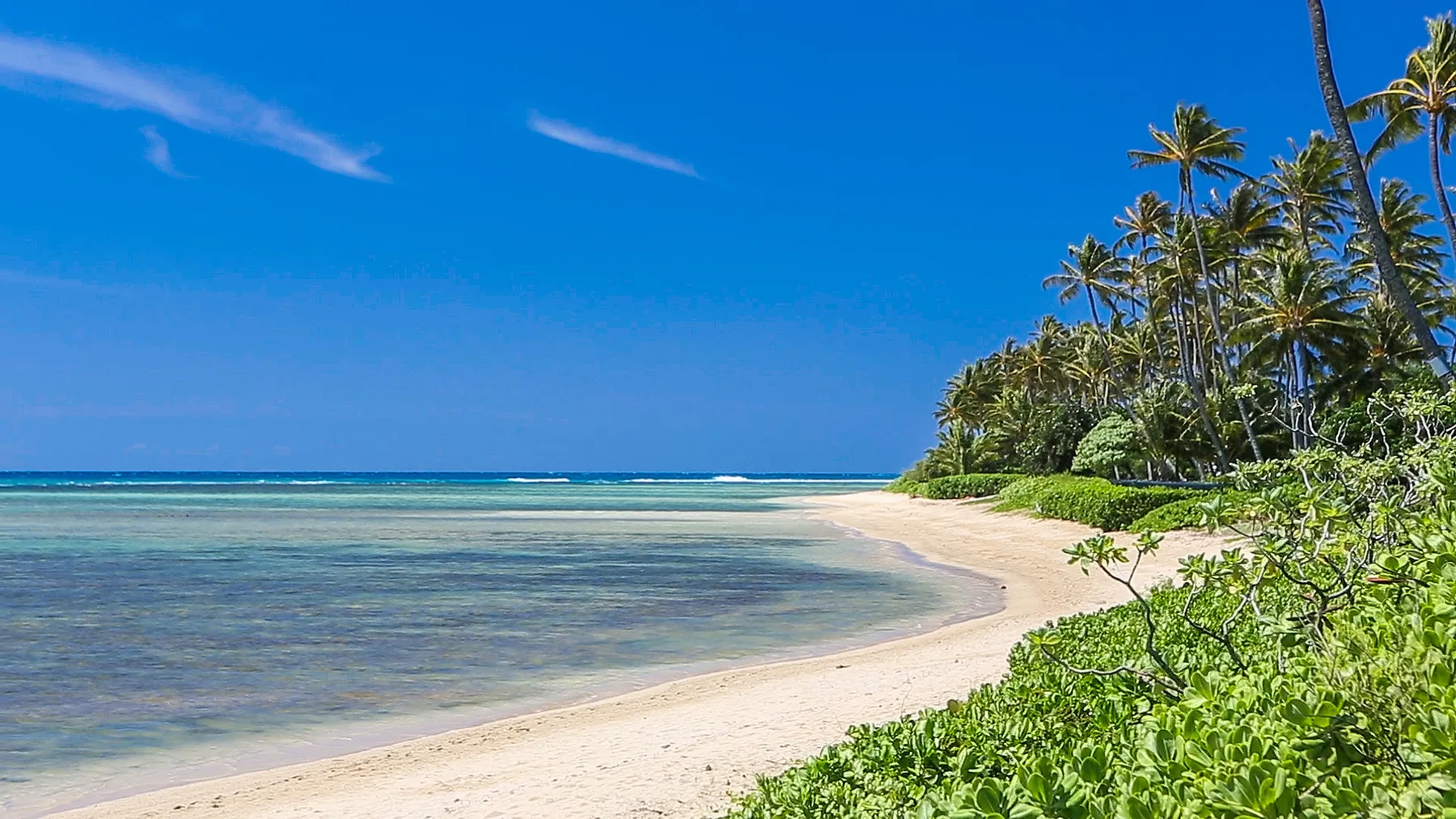 Una playa tropical se curva junto a aguas tranquilas y poco profundas y palmeras.