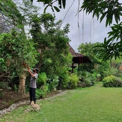 jardín