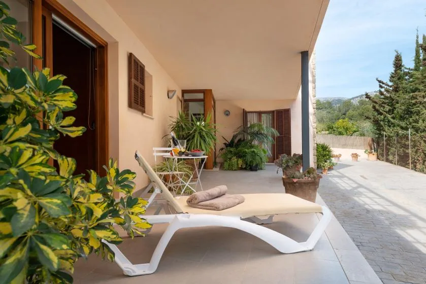 A covered patio with lounge seating, potted plants, and a paved walkway.