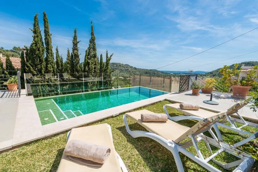 An outdoor swimming pool with lounge chairs and potted plants beside it.