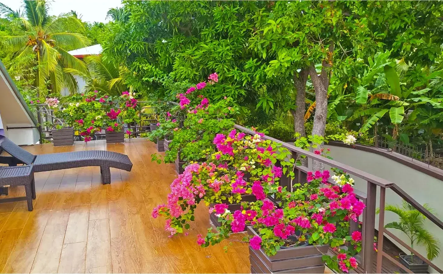 La terraza de la azotea bordeada de flores
