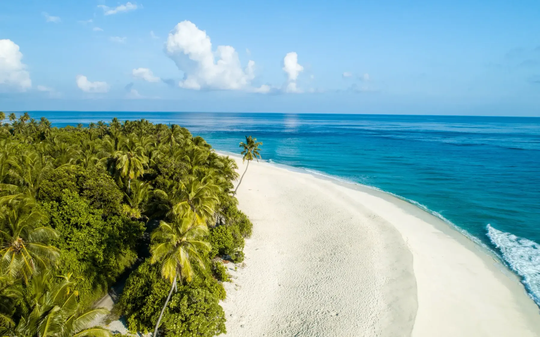 La curva blanca de la playa de Thoondu junto a las palmeras