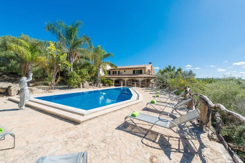 A sunny poolside patio with lounge seating and palm trees.
