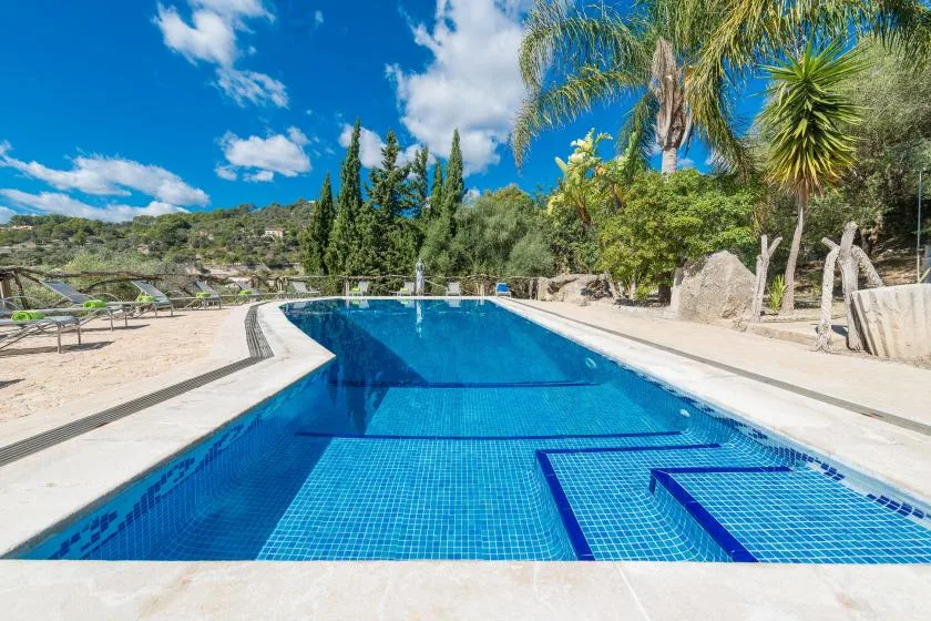 An outdoor swimming pool sits among palm trees and landscaped greenery.