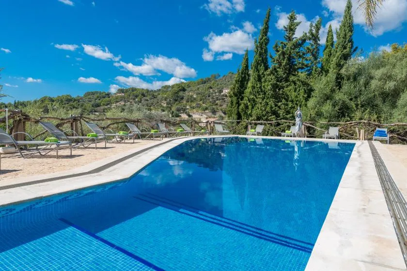 An outdoor swimming pool is surrounded by a paved deck and greenery.