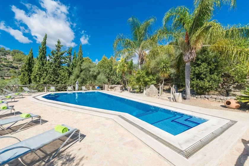 Una piscina al aire libre está junto a palmeras y una terraza pavimentada.