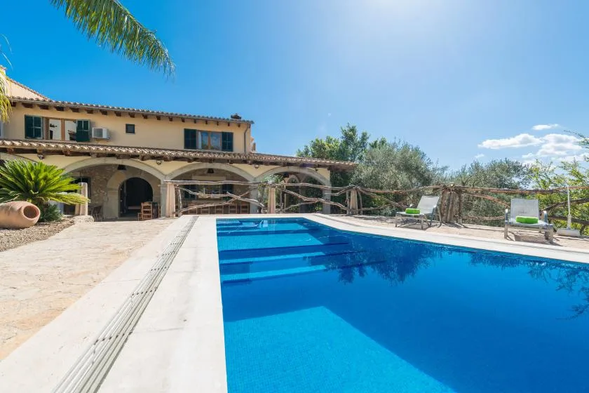 A sunlit outdoor swimming pool sits beside a villa and patio.