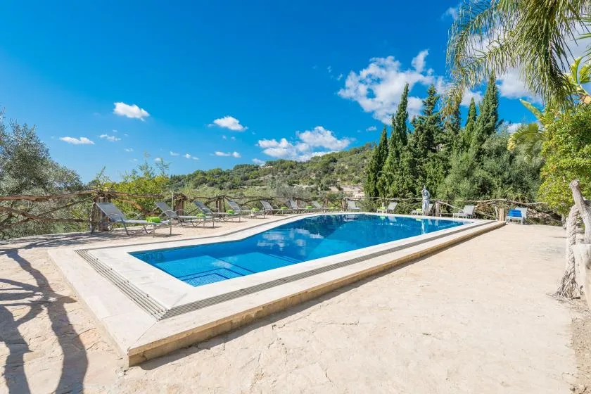An outdoor swimming pool sits on a sunny terrace surrounded by trees.