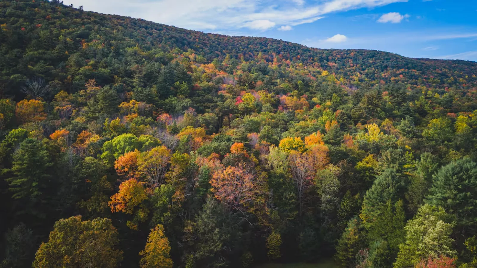 A forested mountain slope displays colorful autumn foliage beneath a partly cloudy sky.