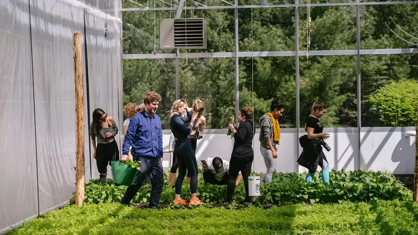 People work among plants inside a greenhouse with transparent walls.