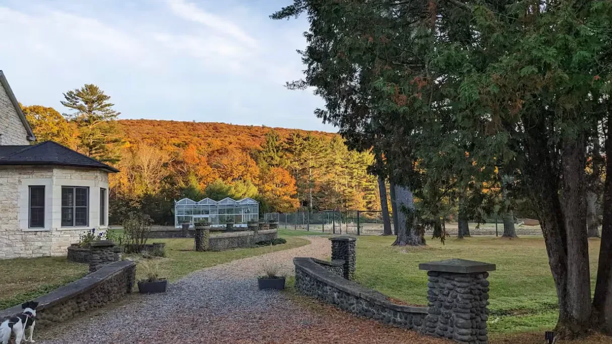 A gravel driveway curves through a landscaped yard toward a wooded hillside.