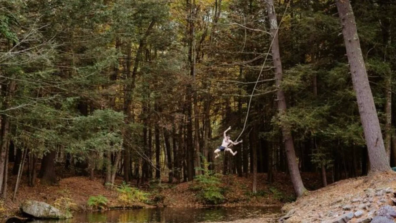 A wooded outdoor scene with a person swinging above a narrow stream.