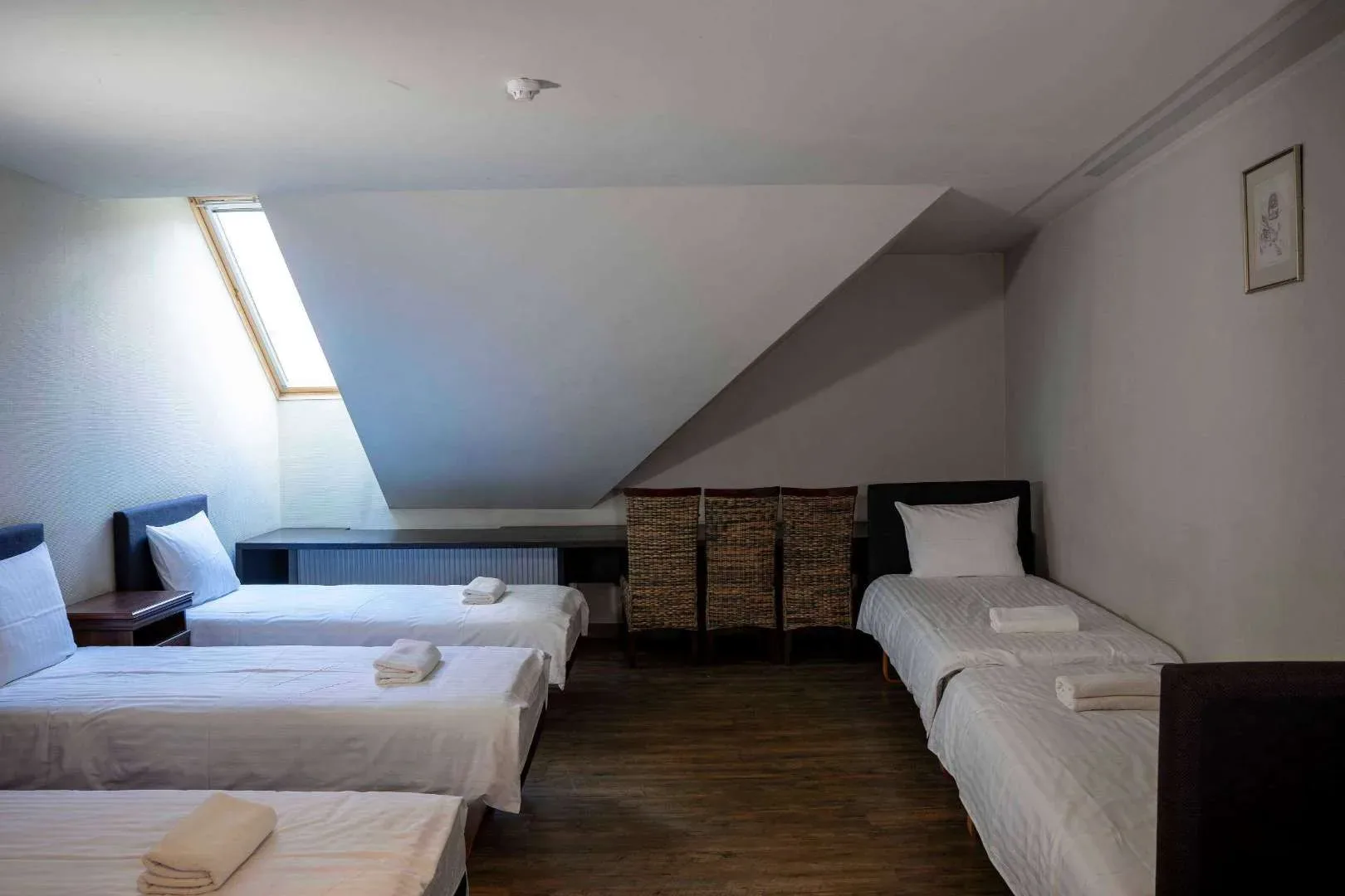 Domus Pacis