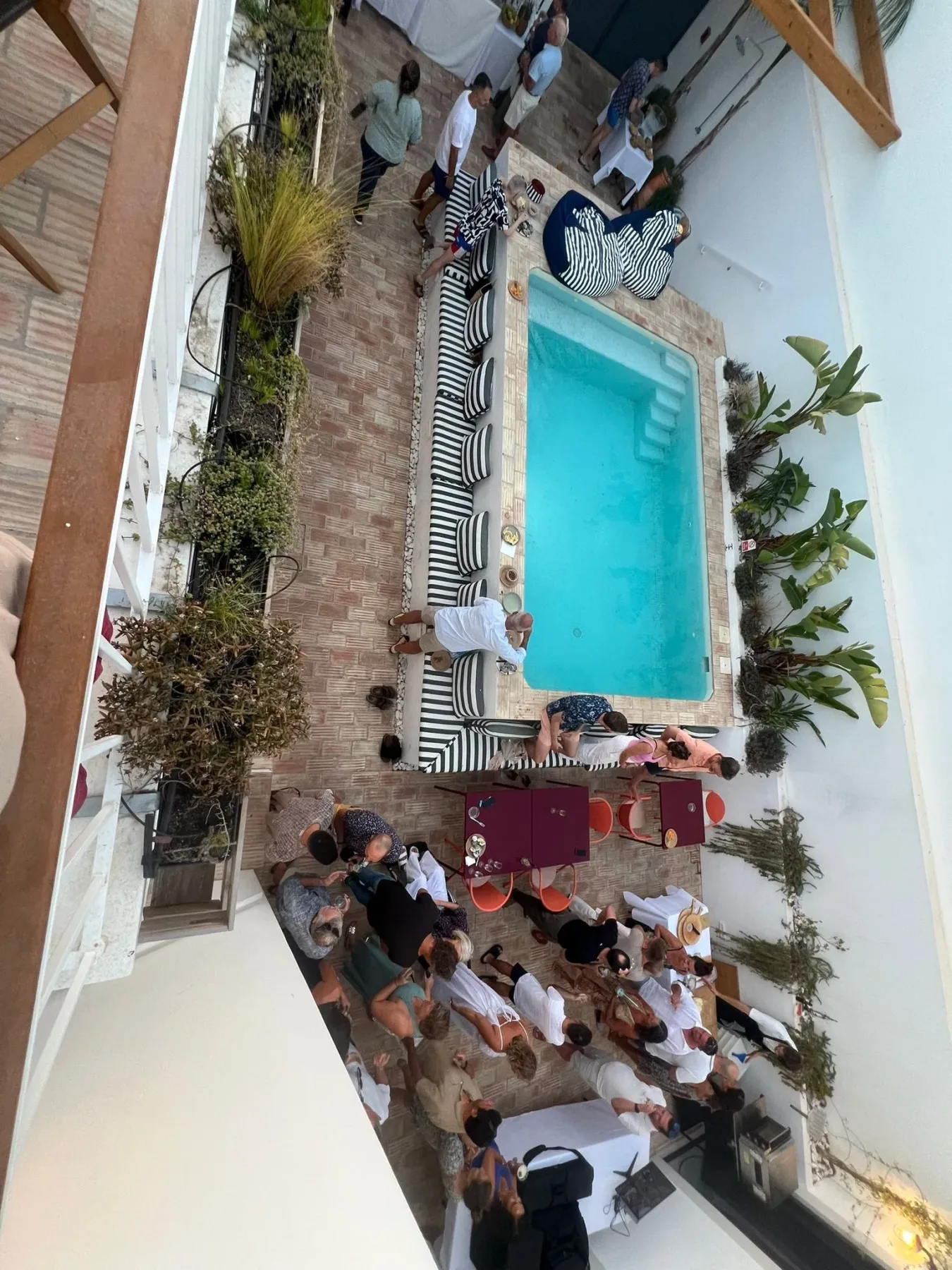 Guests gathered by the swimming pool.