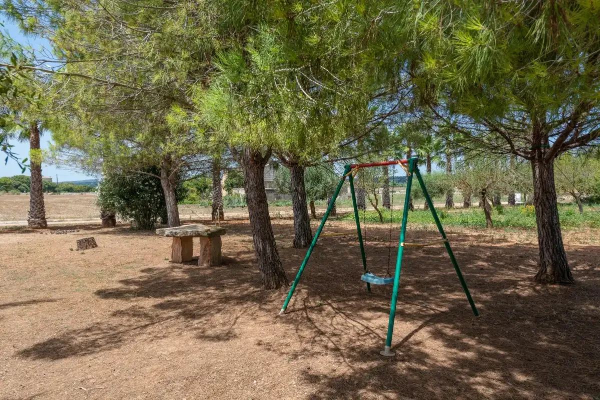 Zona de juegos al aire libre con un columpio bajo pinos.